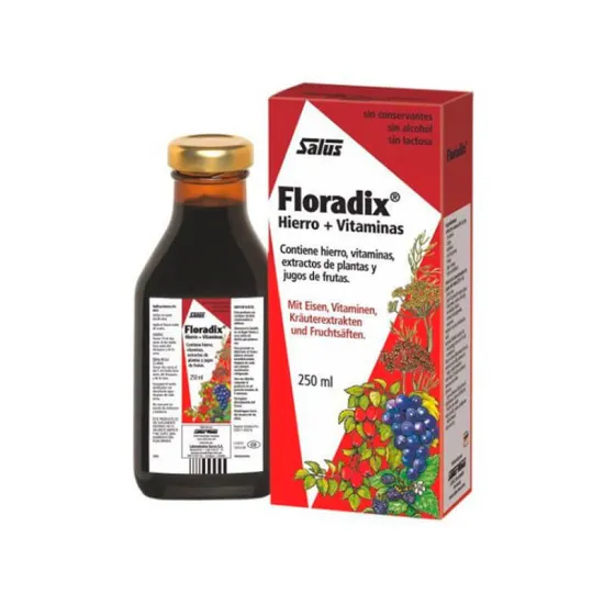 Floradix Hierro 250 ml