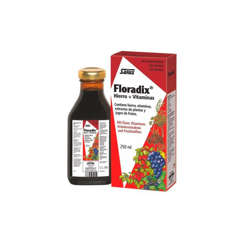 Floradix Hierro 250 ml