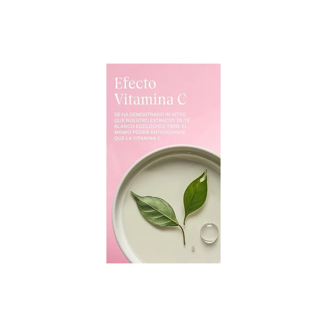 Weleda Contorno Ojos Alisante Rosa Mosqueta 12 Ml beneficios