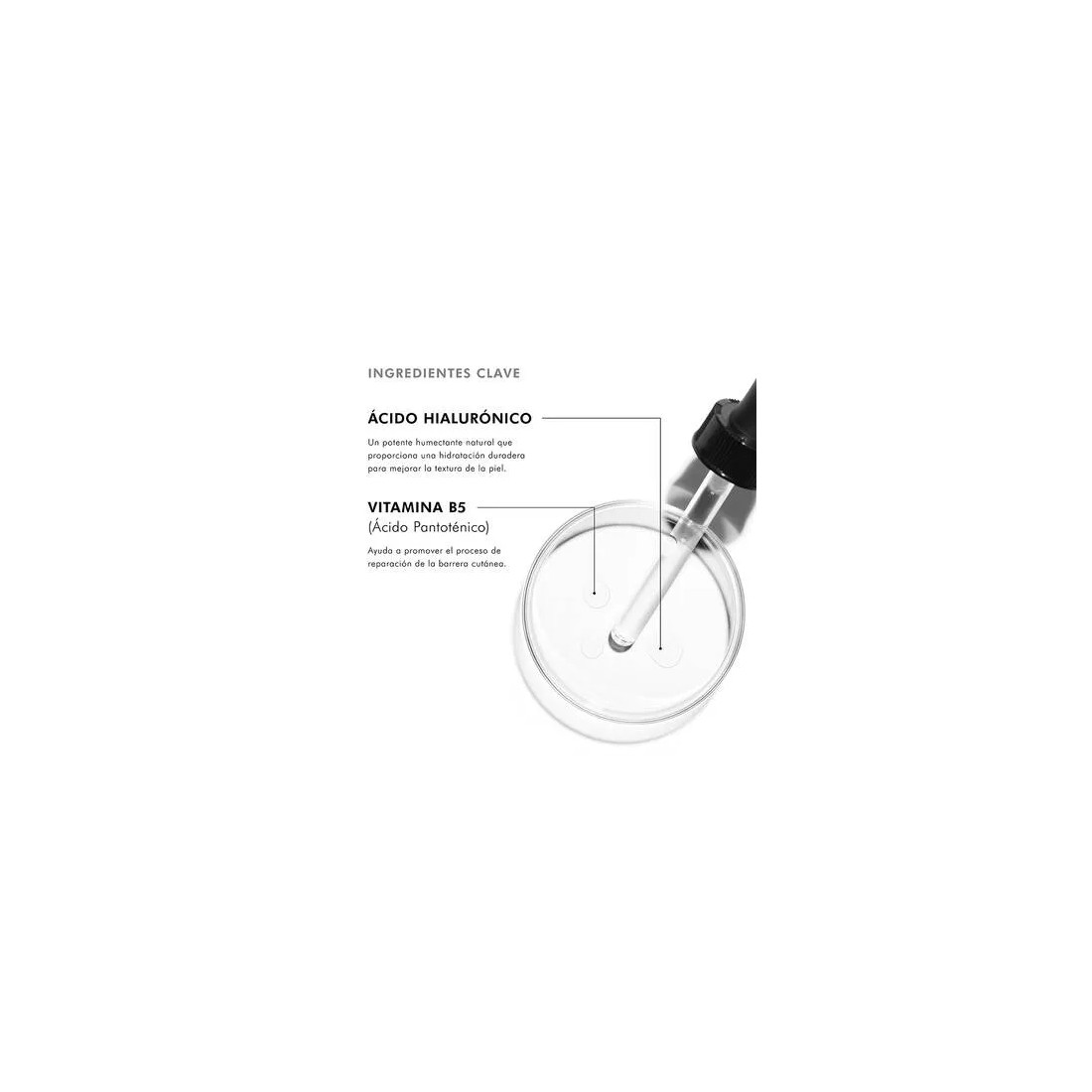 SkinCeuticals Hydrating B5 Sérum Fluido Potenciador Hidratación 30 ml propiedades
