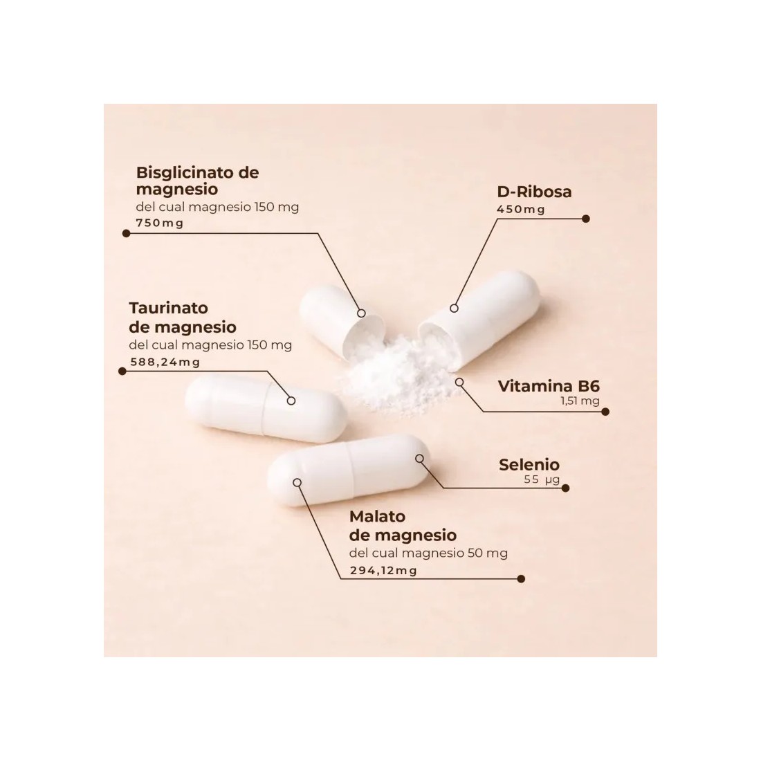 Kobho Trimagnesium 90 Cápsulas componentes