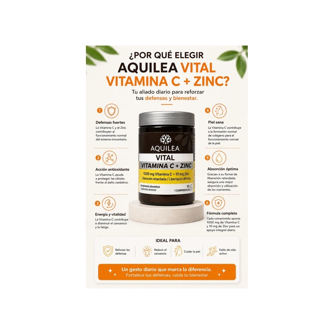 Aquilea Vital Vitamina C + Zinc 90 Cápsulas composición