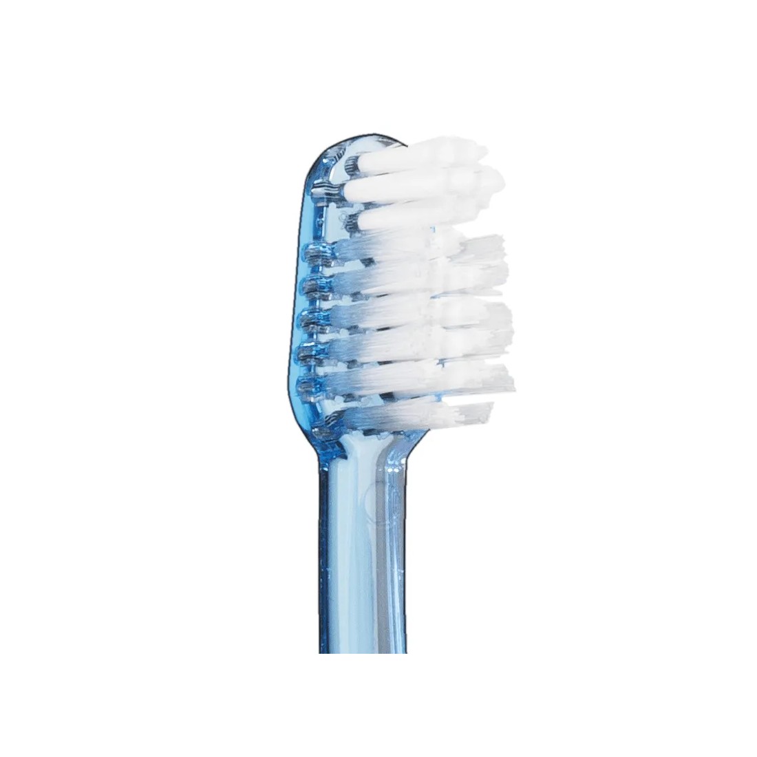Vitis Cepillo Orthodontic Access cabezal suave