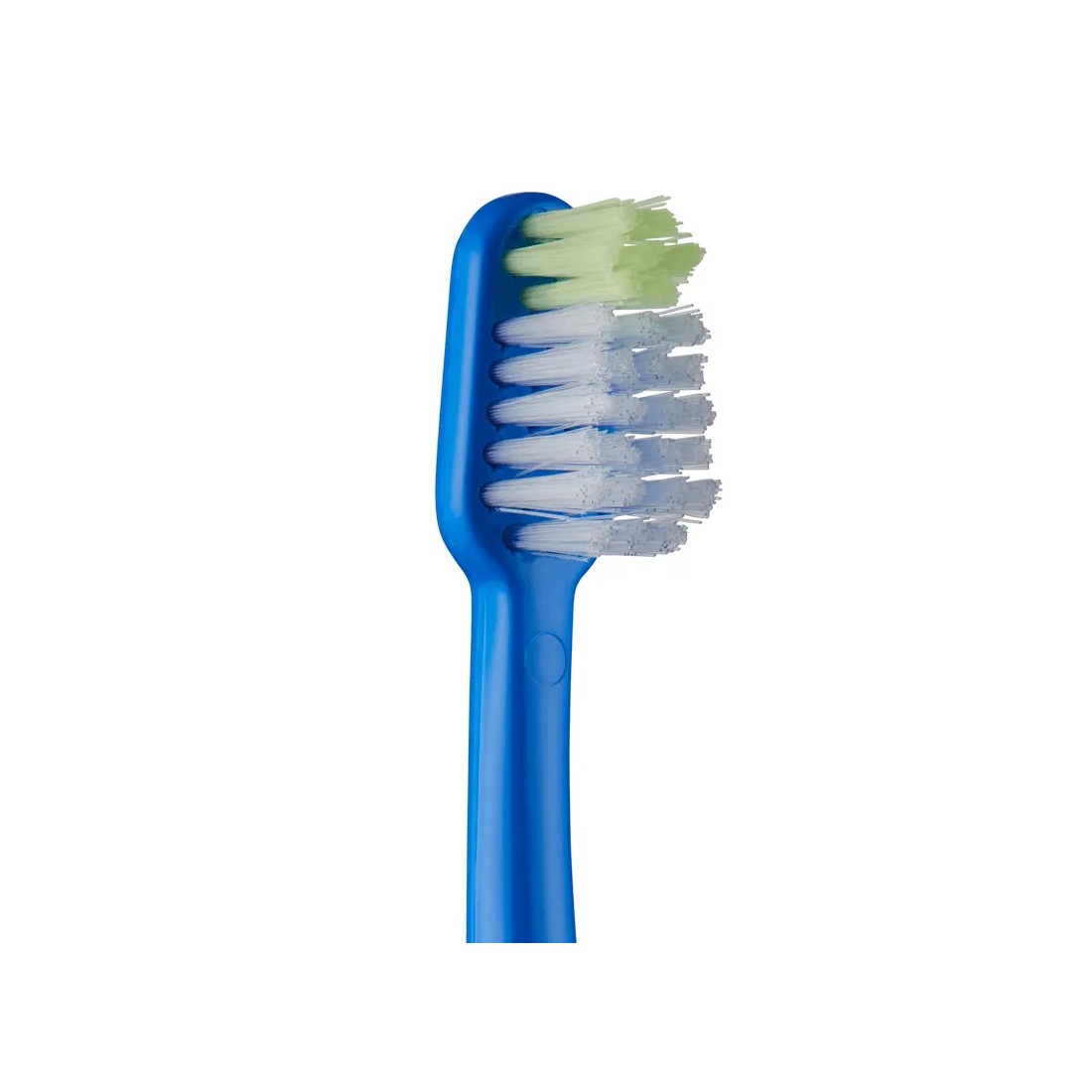 Vitis Cepillo de Dientes Junior cerdas