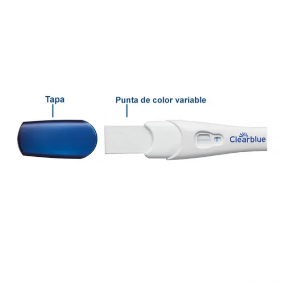 clearblue test embarazo 1 minuto partes