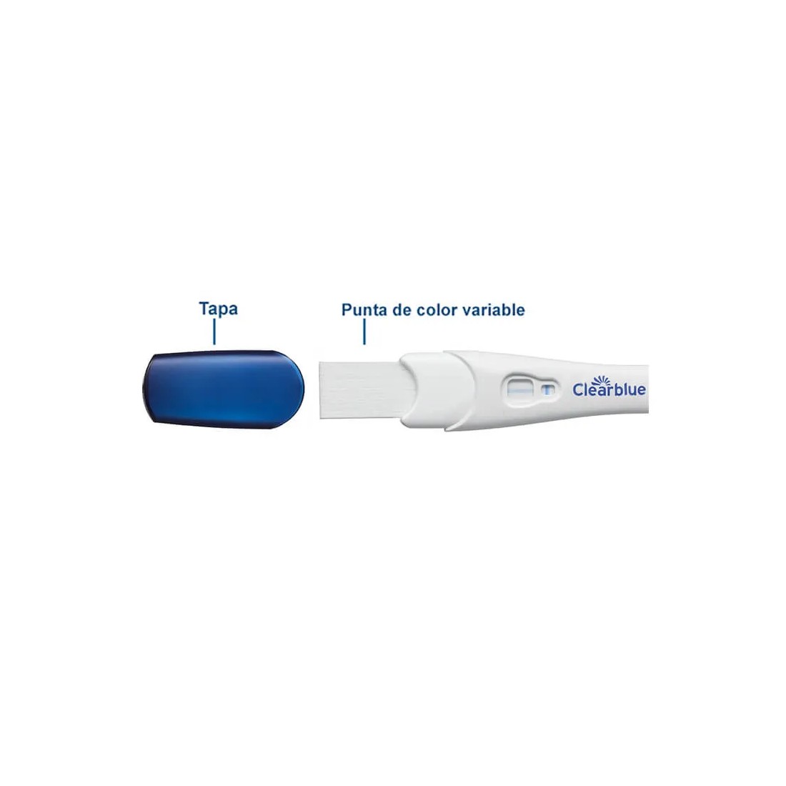 clearblue test embarazo 1 minuto partes