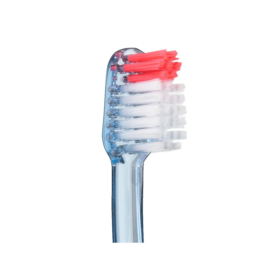 Vitis cepillo dental encías cabezal